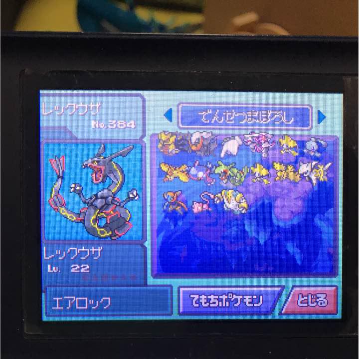 ポケモン 伝説のポケモン 色違い