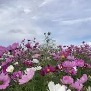 ハイキュープラザ ロフト 缶バッジ 助走 オーロラver. 月島蛍