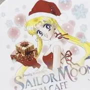 セーラームーンミュージアム 缶バッジvol2 コンプリートセット