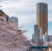 大丸の画像