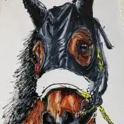 ちゃんちー　コントレイル　イラスト　コピック　競馬 ちゃんちー様専用 コントレイル イラスト コピック 競馬 - メルカリ