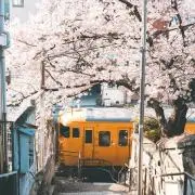 JR西日本 京都電車区 運転時刻表 現行 スタフ 湖西線 113系 新