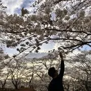 最終値下げインボイス付きクロムハーツBRAID TNY SCROLL - メルカリ