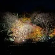 【にこ】ネックレス（フォロー割引反映済み） TH4487DW02140_21_l.jpg