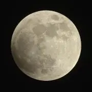 最安値‼️】ラッカ庵野 【ガチ構築】 - メルカリ