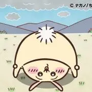 おさの画像