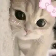 ☆急ぎ☆ カリスマ 猿川慧 3周年 蓄光缶バッジ 42個 - メルカリ