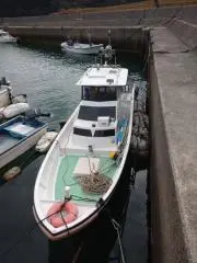しらすうなぎタモ網(18ⅽⅿ)×3 シラスウナギタモ網(ステンレス18ⅽⅿ) - メルカリ