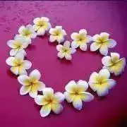 2023AW DES PRES デプレ　ブロークンツイードコート　クリーニング済 2023AW DES PRES デプレ ブロークンツイードコート クリーニング