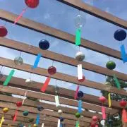 ☆彡.。の画像