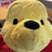ポケモンフレンダ 過去弾トレジャーピック お好きな4枚まで333円