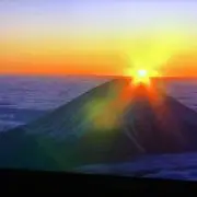 ヘラブナ杜松芳玉の柄 - メルカリ