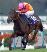 スノーフェアリーの画像