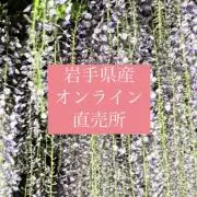 今日限り‼️岩手県産 天然葉わさび苗 20本 根付き - メルカリ