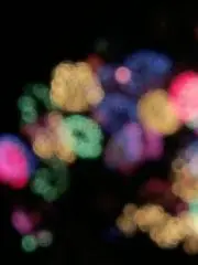 夜河世界 劇場版 神椿市建設中 入場者特典 ミニ色紙 映画 - メルカリ