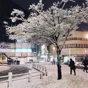 Panasonic CS-XS250D-W 2019年製 8畳 - メルカリ