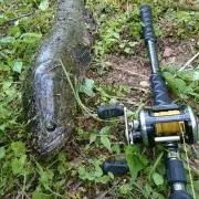 ねんりん。様専用 雷魚 ライギョ ジャクソン スネークヘッダーズ