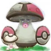 ぺんた様 専用 ポケモンカードe 地図にない街スイクンPSA10