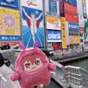 アイドリッシュセブン 四葉環 NF ナイトフォール ウィッグ付き