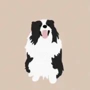 J*h様 スタン・ワウリンカ TESTラケット プロストック - メルカリ