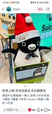 本田響矢 中国限定 生写真 ブロマイド フォ 5枚 本田響矢 中国限定 ブロマイド 生写真 5枚セットB - メルカリ