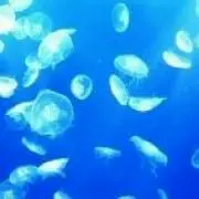 マレットメット☆ ペーパーヤーンメッシュニットベスト SALE】ペーパーヤーンメッシュニットベスト | マレットメット