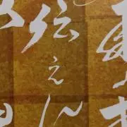 テスラ電子スタビライザー - メルカリ