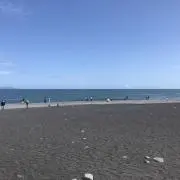 あかねの画像