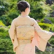 ☆美品 夏帯 訪問着 無地用 西陣織 紗 袋帯（正絹）仕立上り