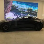 エスカーの画像