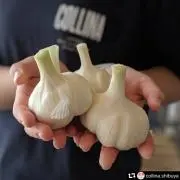n 福地村産　土付き　L 3kg 青森県産にんにく　乾燥　夏坂ふぁーむ n様専用 福地村産 土付き L 3kg 青森県産にんにく 乾燥 夏坂ふぁ