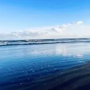 いゆもの画像