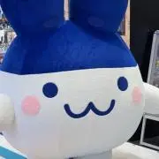 アイカツ！ 氷上スミレ ルミナス Chibi ぬいぐるみ - メルカリ