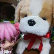 魔法少女猫X ペケ　海洋堂フィギュア　未開封　おりもとみまな 魔法少女猫X ペケ 海洋堂フィギュア 未開封 おりもとみまな