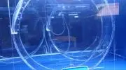 モオカ819の画像