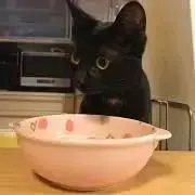 キャラクタースリーブ カードスリーブ たこやき たこ焼き