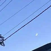 ねの画像