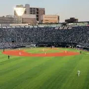⭐︎匿名⭐︎ 日向坂46 大野愛実 直筆サイン入りステッカー