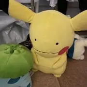 たくまるの画像
