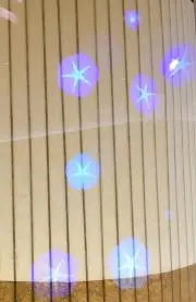 dolphinの画像