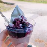 ししゃもっちの画像