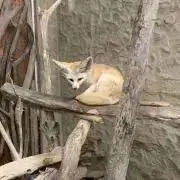 まぁの画像