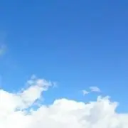 miwa 坂口健太郎 直筆サイン色紙 miwa 坂口健太郎 直筆サイン色紙 著名人サイン入りアート作品