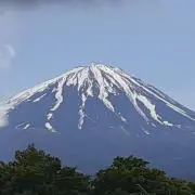 【値下げ】日本画　菖蒲　翠華作 値下げ】日本画 菖蒲 翠華作 - メルカリ