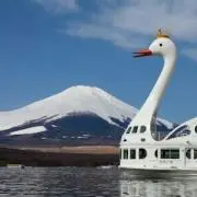 m*n(プロフ見てくださいね♪)の画像