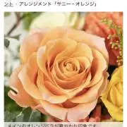 あっこの画像