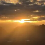 ゆーーーの画像