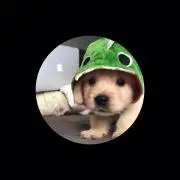pillbox キャップ 2IDIOTS.LABEL 2IDLB - メルカリ