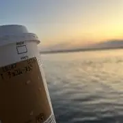 アシックス セパレート 水着 Sサイズ 競泳 練習用 水球 水泳