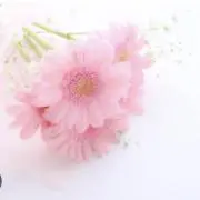 ハラジュクマザー HARAJUKU MOTHER ファーコート ミンクファー　黒 ハラジュグマザー HARAJUKU MOTHER ファーコート ミンクファー